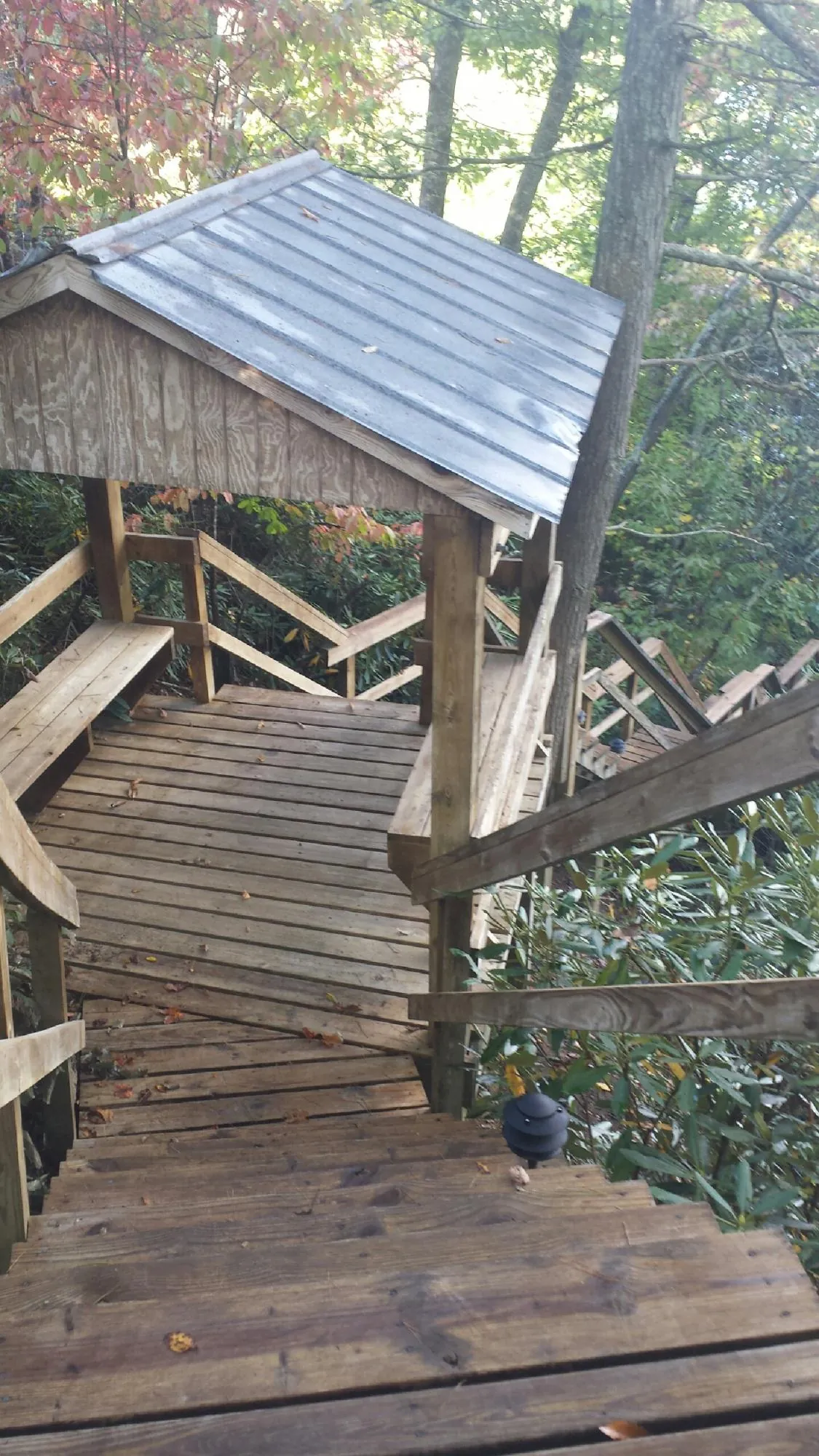 Metal roofed shelter over wooden steps on a wooded walkway — Skylight Repair & Installation work by our crew in Maskell